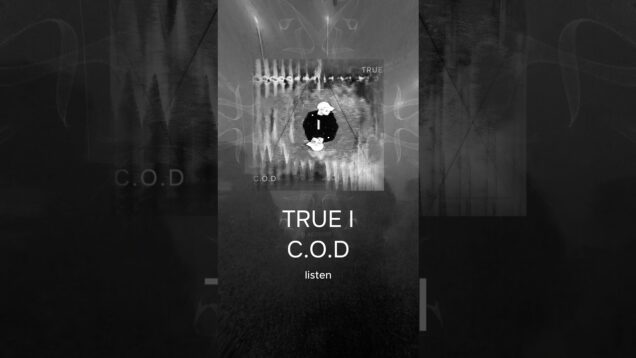 C.O.D – True I new release #electronicmusic #techno #music #touchdesigner #newrelease