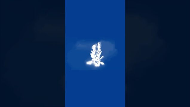 Cyanotype | Plants  | TouchDesigner