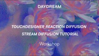 Daydream Workshop: Touch Designer Reaction Stream Diffusion Tutorial