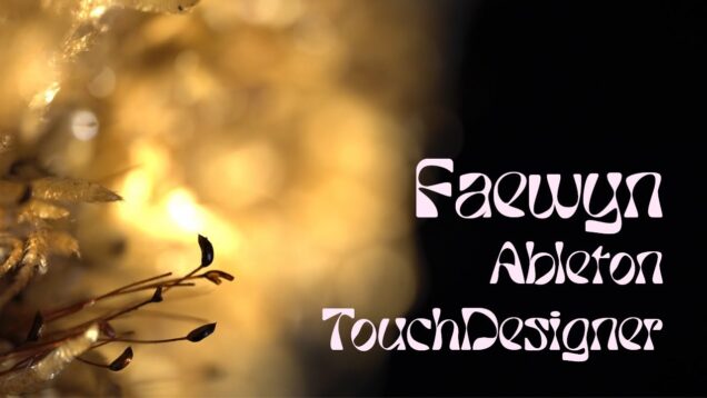 Faewyn – Audiovisual Nature Projection Mapping (TouchDesigner & Ableton)