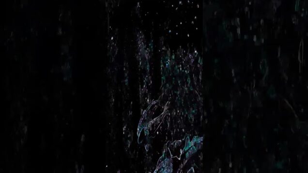 FishyFishy! #art #electronicmusic #touchdesigner