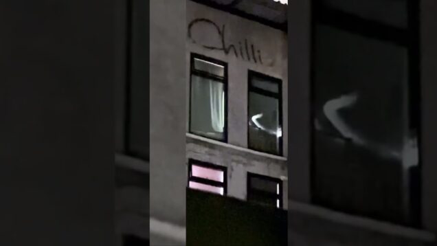 generative art #touchdesigner