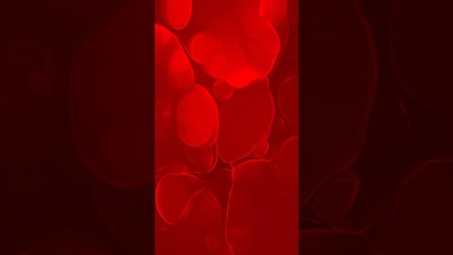 Generative art | TouchDesigner