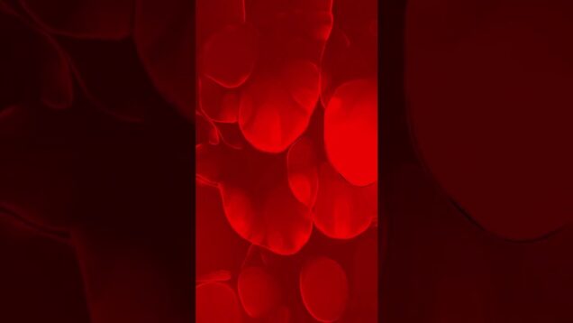 Generative Visuals | TouchDesigner