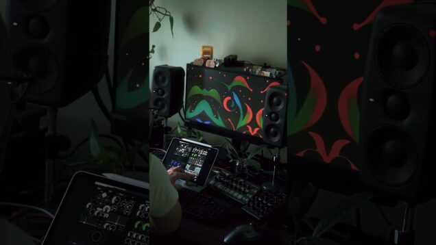 It’s still summer. #touchosc #touchdesigner #ableton #streamdiffusion