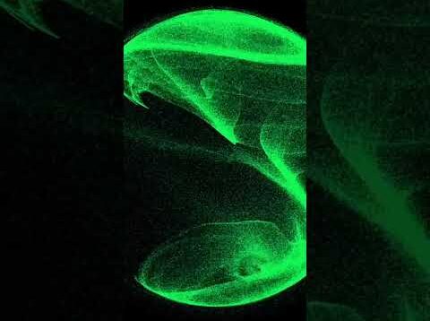 Leafy point cloud in Touchdesigner