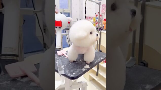 #looom #visicalc #asyncart #touchdesigner #cartoonshading