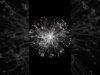 POPs particles in touchdesigner #touchdesigner #data #animation
