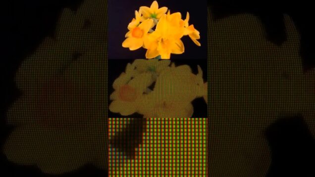 Procedural CRT – TouchDesigner + GLSL
