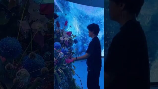 TÂM HOA: interactive plant music and visuals with Playtron and TouchDesigner 🌿✨ #playtronica #plant