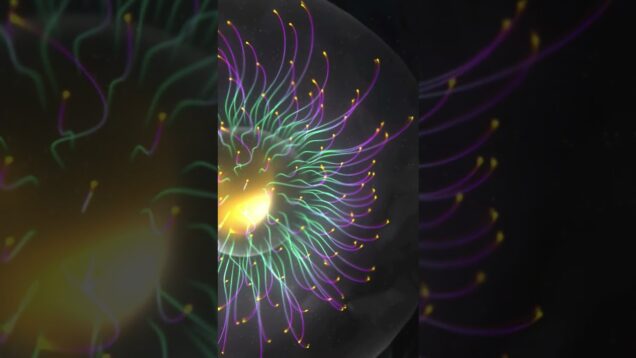 [TD Drop #36] #TouchDesigner #tutorial