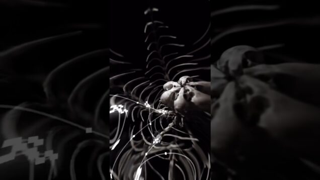 #touchdesigner #aesthetic #generativeart #electronicmusic #mediaart #music #art #generative