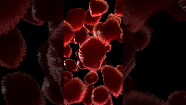 Touchdesigner – Furry Blobs