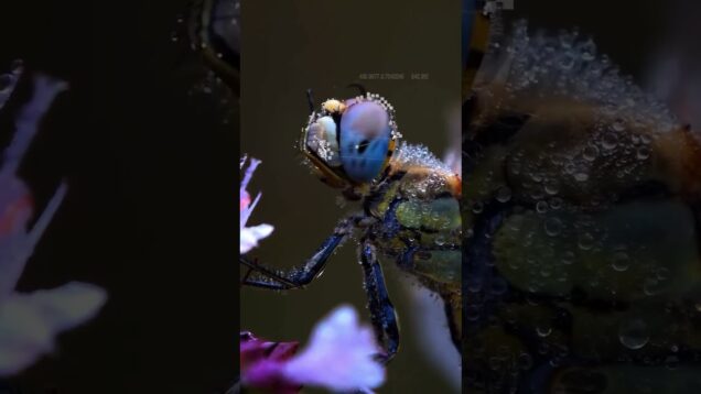 #touchdesigner #generativeart #aesthetic #mediaart #newmediaart #newmehndidesign