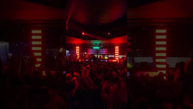 TouchDesigner Live VJing – Turning Music Into Light  #behindthevisuals #livevjing #generativevisuals