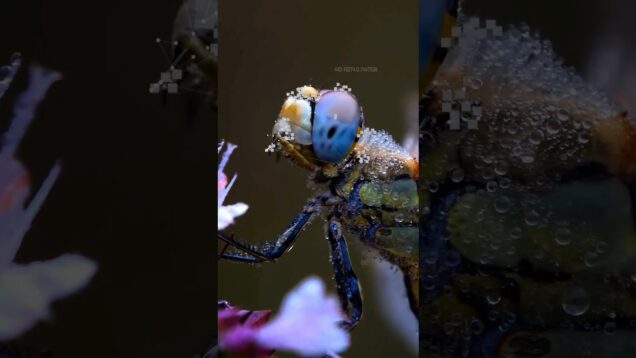 #touchdesigner #music #generativeart #mediaart #art #generative #nature #naturelovers