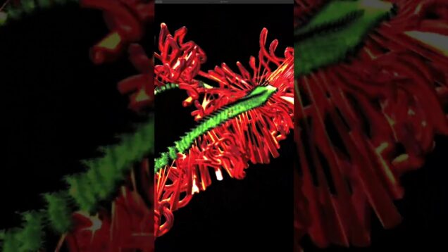 TouchDesigner POP work