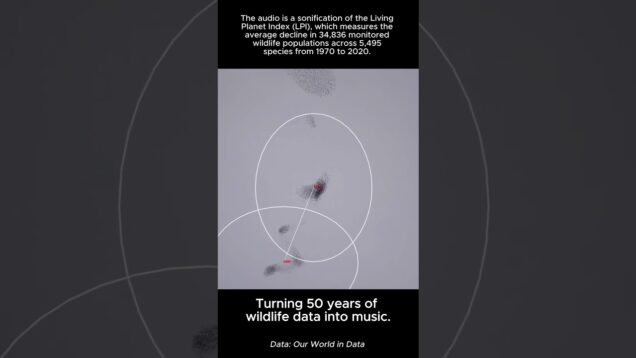 Turning 50 years of wildlife data into music: Touchdesigner + Data Sonification