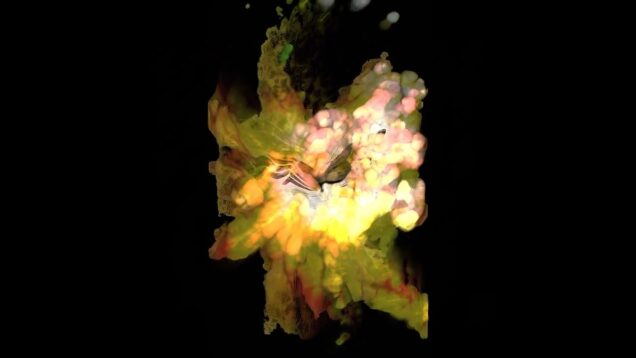 Visual Butterfly #touchdesigner