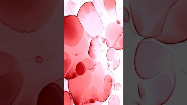 Wine | TouchDesigner | Generative Visuals