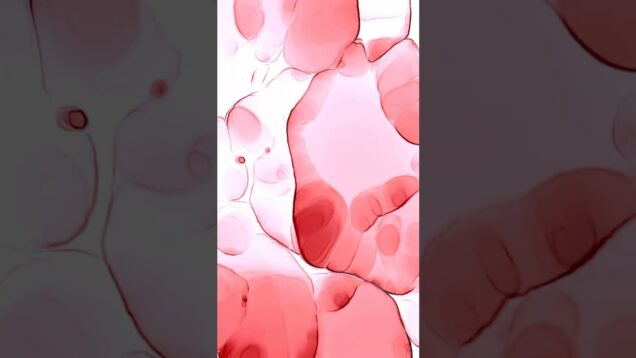 Wine | TouchDesigner Generative Visuals