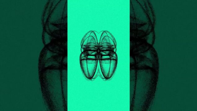 Creating a simple audio Visualizer #touchdesigner