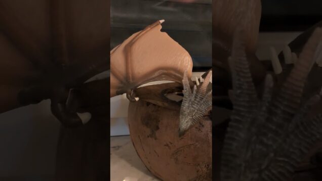 Dragon #projectionmapping #art #touchdesigner #visualart #creativecoding