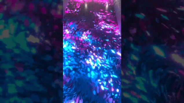 Drifting and Touching | Immersive Motion Art on a Grand Screen | Touchdesigner Interactive Art