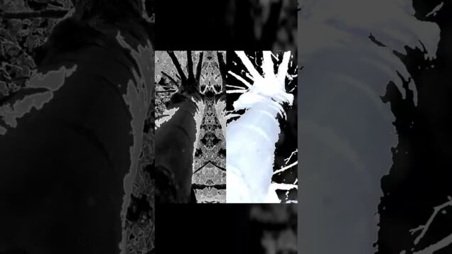 equivocation #touchdesigner #ableton #maxmsp #glitch #shorts #electronic #noise