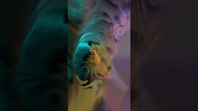 is it a bird? #touchdesigner