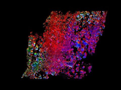 Life of cubes ✨ touchdesigner experiment