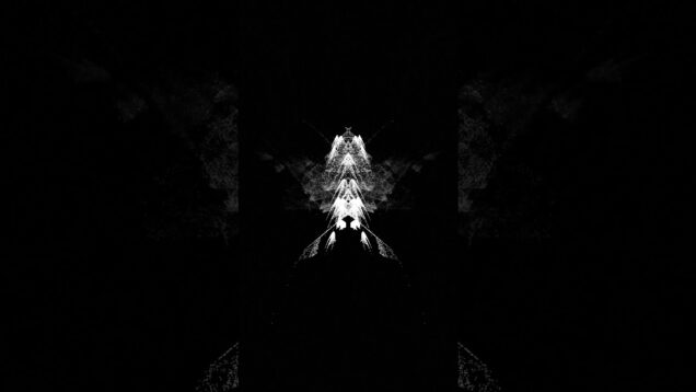 Made this particle loop in TouchDesigner — tutorial coming soon 👀#TouchDesigner #Visuals #VJ