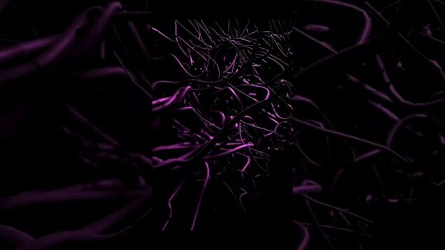 Maggots to Moths. Derived from tut by @okamirufuV #ayeshaerotica ￼￼￼#touchdesigner