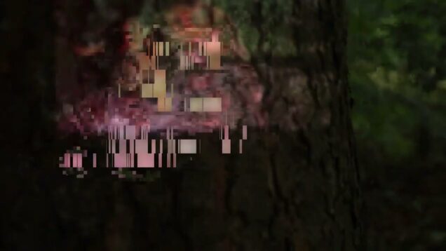 my video from sokolowsko but with touchdesigner glitches