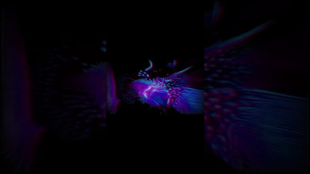 Reaction Diffusion Loop  #touchdesigner #touchdesignercommunity #visuals #reactiondiffusion #shader