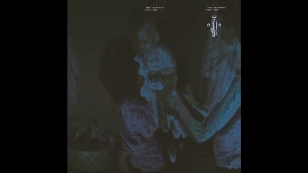 Two Party System – Remastered – Touchdesigner Visuals #touchdesigner #electronicmusic  #triphop