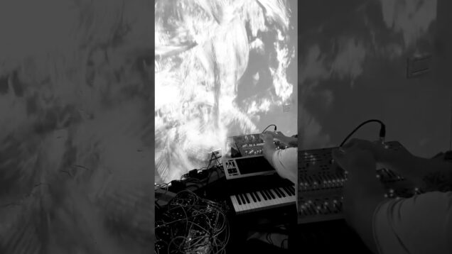 Valovanja // Live AV rehearsal #modular #av #abstractart #audiovisual #generativeart #touchdesigner