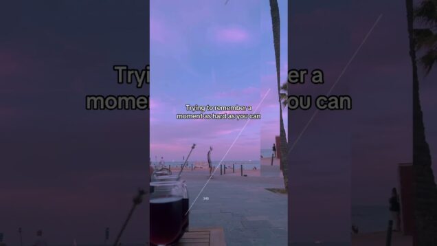 A good soundtrack helps the moment last #electronicmusic #touchdesigner #beachvibes #music