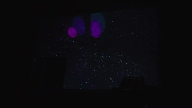 ableton+touchdesigner techno live+VJing