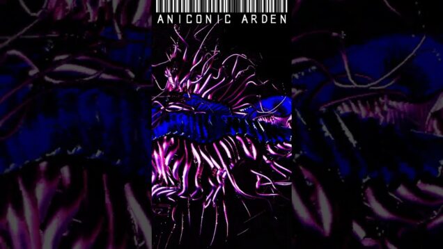 Centipede 3 | Experimental Music | Ableton | TouchDesigner