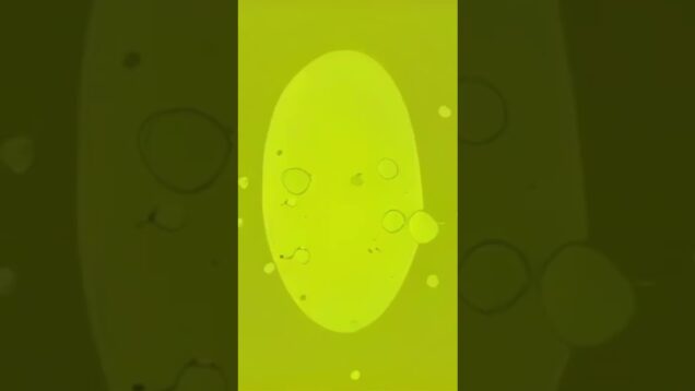 Essence of the rhythm  #sounddesign #experimentalart