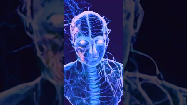 Glowing Energy Face Effect in TouchDesigner | Real-Time VFX & Generative Art  #touchdesigner