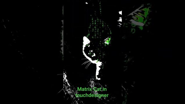 Matrix cat in touchdesigner #matrix #cat #touchdesigner #shorts