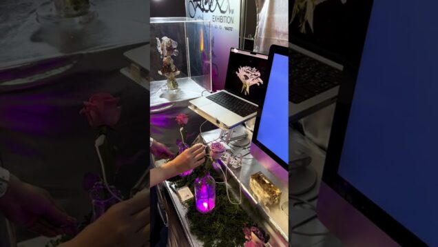 Meiji presents the F10RA interactive flower installation using Playtron and TouchDesigner