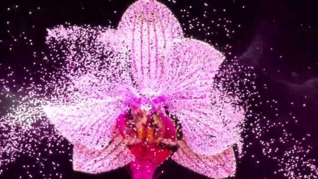 Mouse tracking interactive with particle | Touchdesigner