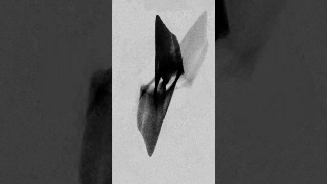 Particule Audio Reactive 50 FPS #touchdesigner