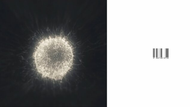 Quarks | TouchDesigner Study