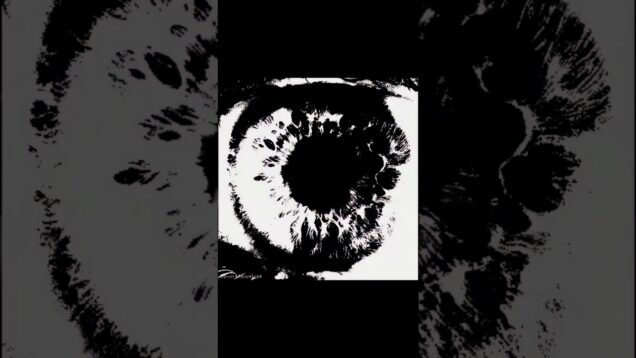 тг — relock142 | #touchdesigner #edit #апфс #blackandwhiteartwork #desiner #cat