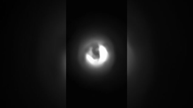 Syren by Anyma Visualizer 2.0 / Digital Art Made in TouchDesigner