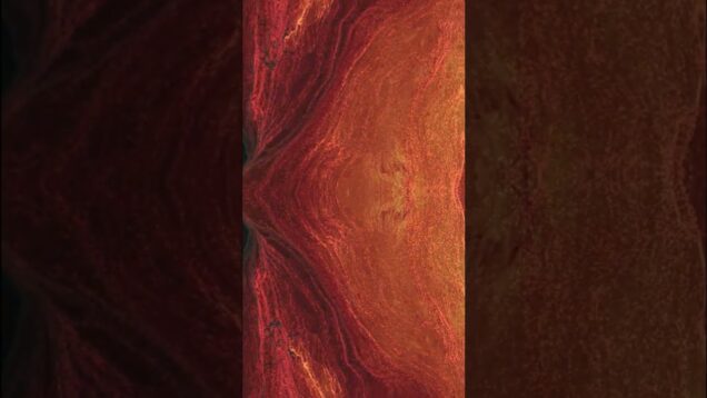 Touch Designer Visuals